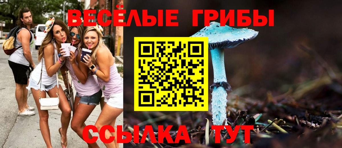 Псилоцибиновые грибы Magic Shrooms  Вход с VPN  где найти   Мценск  Псилоцибиновые грибы Psilocybine cubensis 